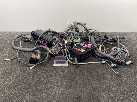 Lamborghini Audi R8 5.2 V10 Engine Wiring Loom 4S8971713A